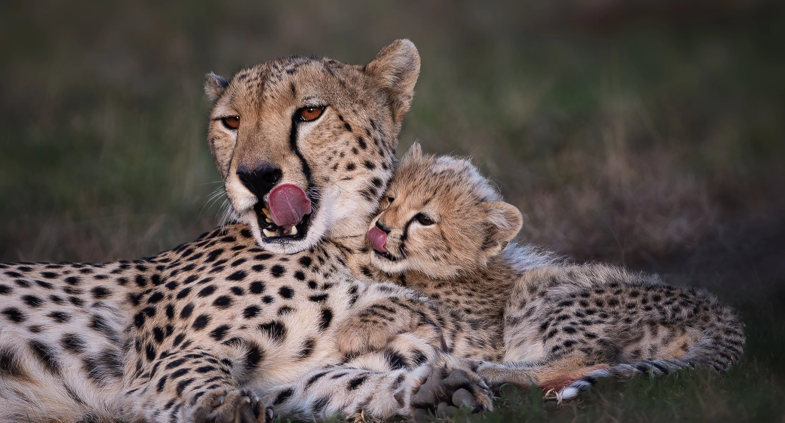 V3 A0978 Forbedret NR Edit